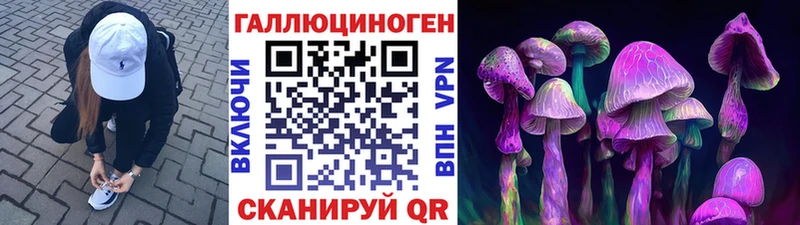 продажа наркотиков  Нестеров  Псилоцибиновые грибы Cubensis 